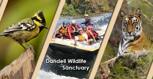 Santuario de vida salvaje de Dandeli