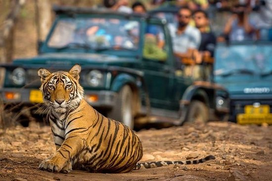Los mejores viajes por carretera después del bloqueo de Covid en India