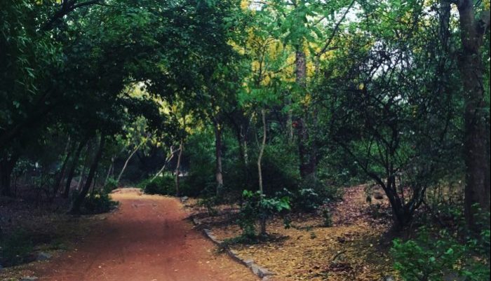 5 lugares ocultos en Delhi de los que los guías no te hablarán
