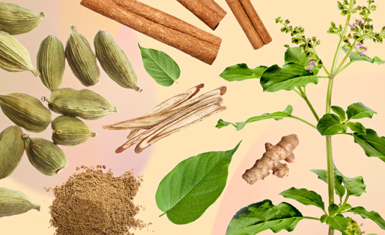 Aquí, en este blog, le daré información sobre algunas especias que le mantienen saludable:
