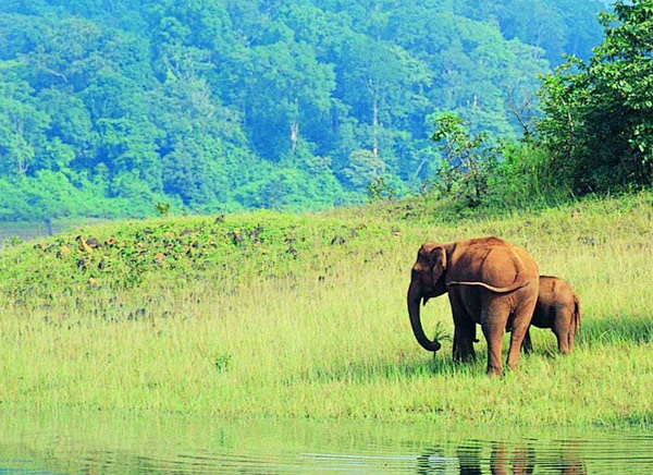 Experiencias celestiales para disfrutar en el propio país de Dios