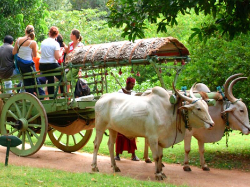 Experiencias celestiales para disfrutar en el propio país de Dios