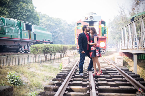  Museo Nacional del Ferrocarril, Delhi