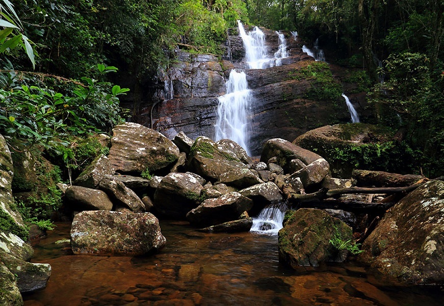 Los mejores lugares para explorar cerca de la reserva forestal de Sinharaja