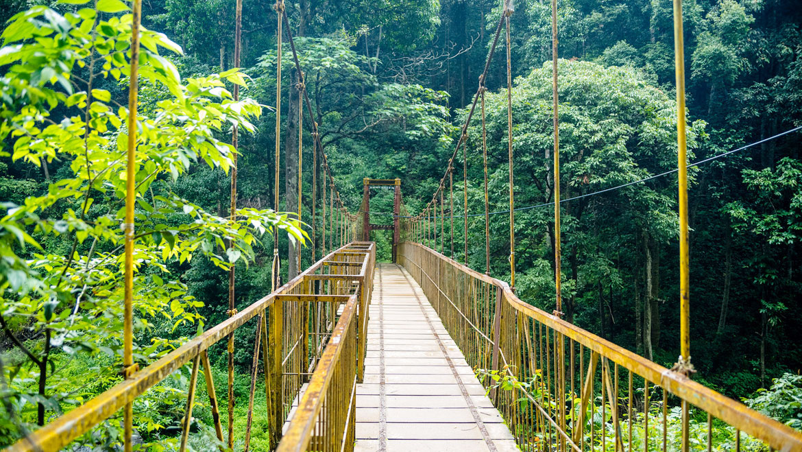 Coorg