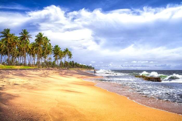 5 mejores cosas para hacer en Negombo, Sri Lanka