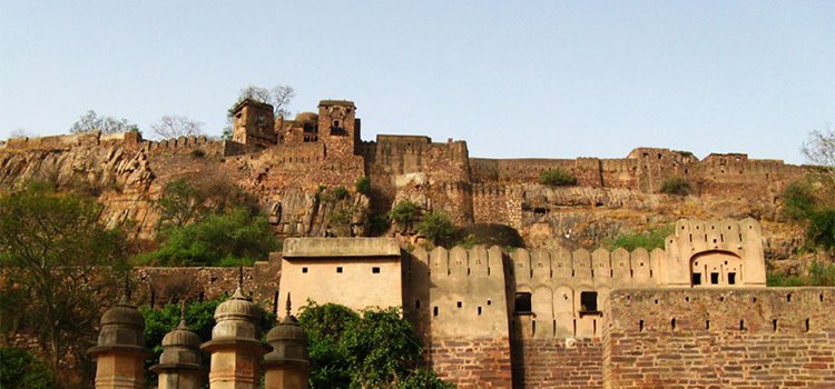 Ranthambore