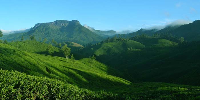 Munnar: Espléndida estación de la colina de Kerala