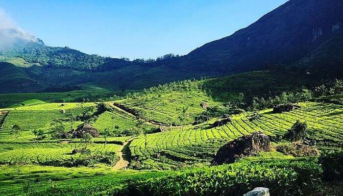 Los Mejores lugares para disfrutar de la Naturaleza en la India