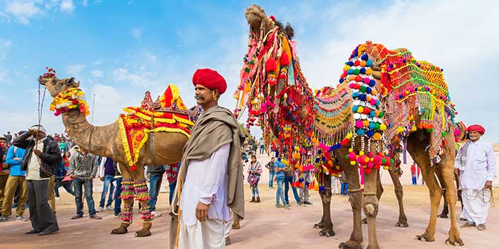 ¿Cómo se celebra la Feria del Camello de Pushkar?