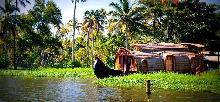Kerala Backwaters, Paraíso del Sur de la India