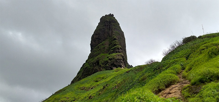  Chanderi